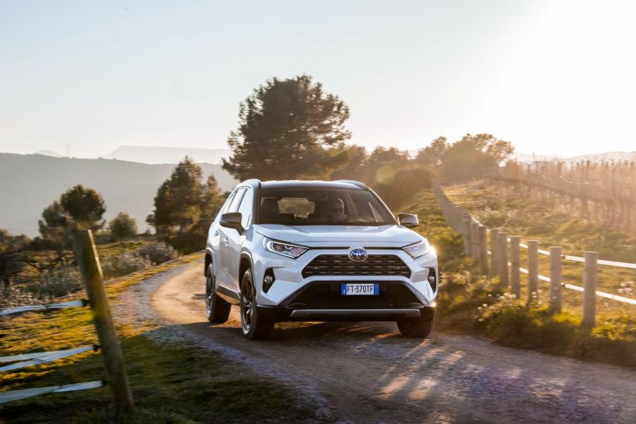  Toyota RAV4 Hybrid Style 2019 года  (WW) (фото 21 из 40)